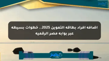 إضافة أفراد بطاقة التموين 2025.. خطوات بسيطة عبر بوابة مصر الرقمية